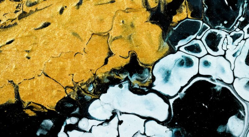 Roji Health Intelligence 2024 Health Care Trends Theresa Hush