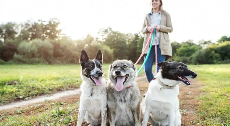 APP Reporting, APP Measures, health care cost savings