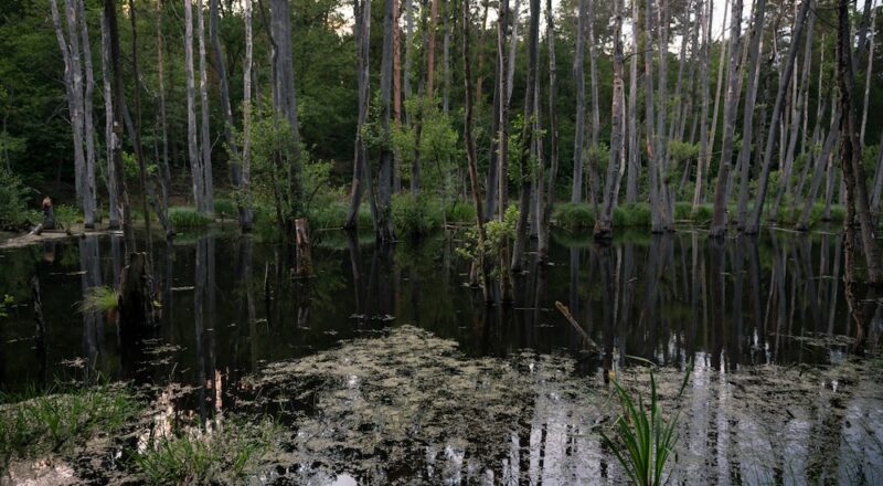 2022 QPP Performance Report