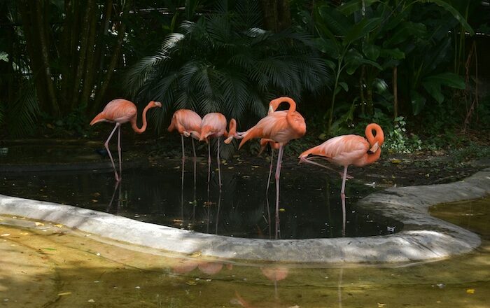spring Managed Care Forum, Theresa Hush, health care costs, value baed care