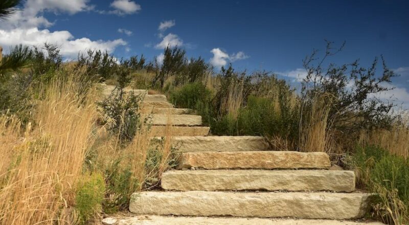 Roji Health Intelligence, TEAM, Value-Based Care, CMS, ASM