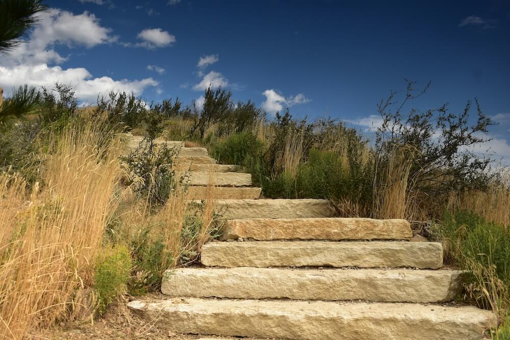 Roji Health Intelligence, TEAM, Value-Based Care, CMS, ASM